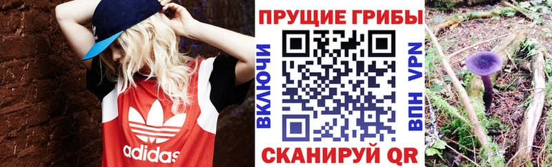 Галлюциногенные грибы Psilocybine cubensis  Шиханы 